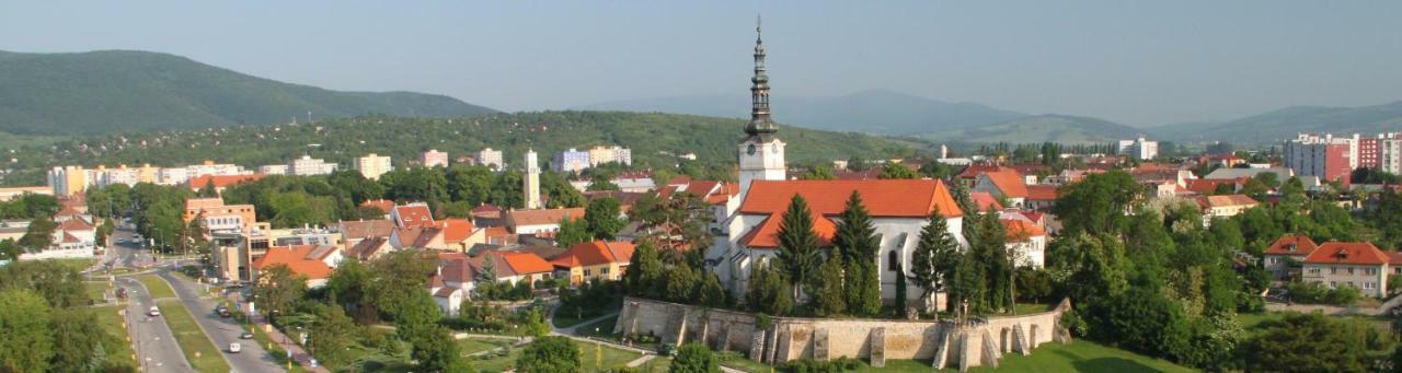 Hotel Diana Nové Mesto nad Váhom Dış mekan fotoğraf